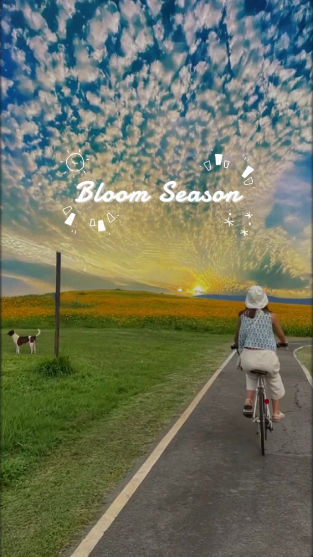 Temporadas de floración