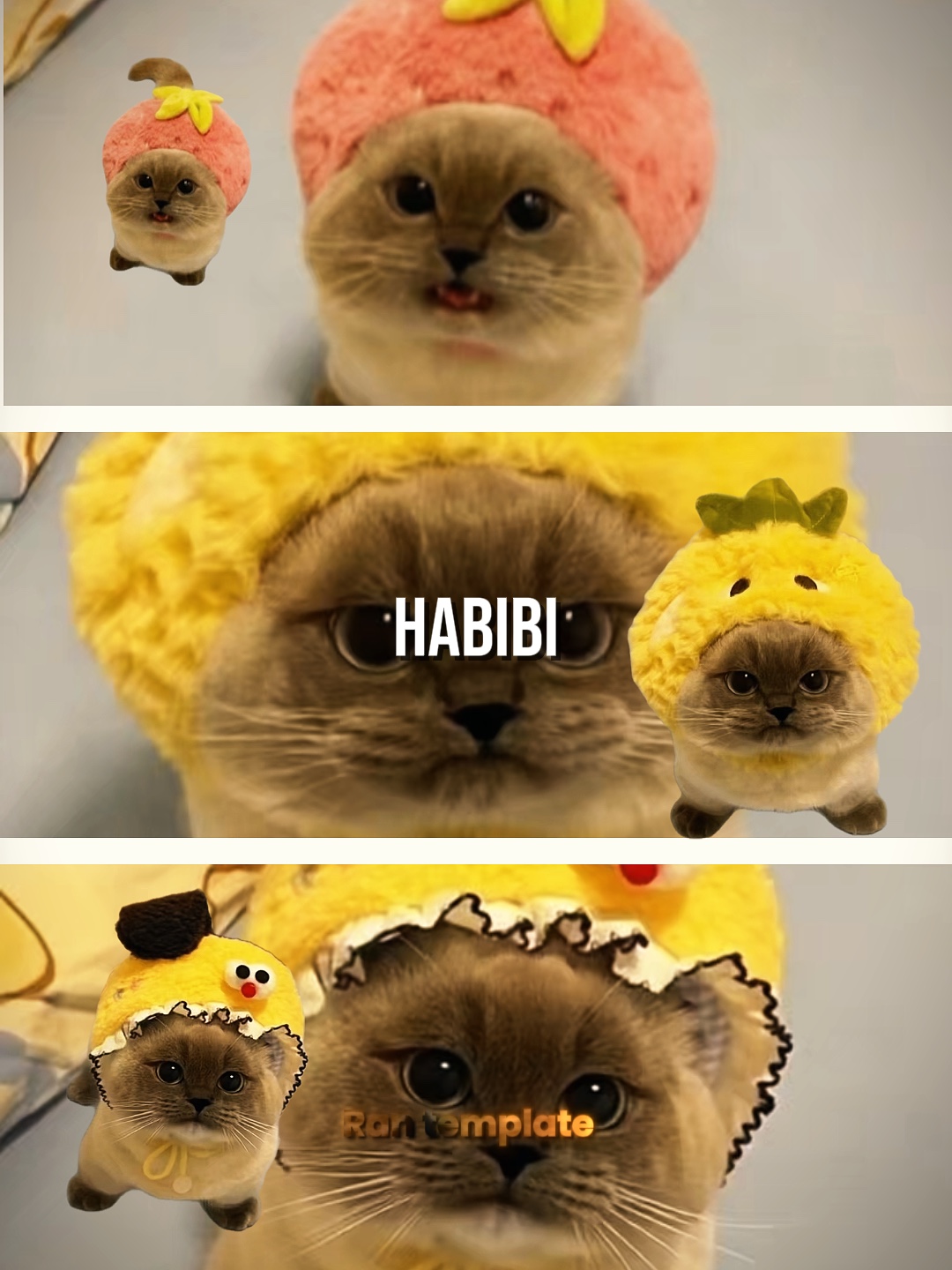 HABIBI