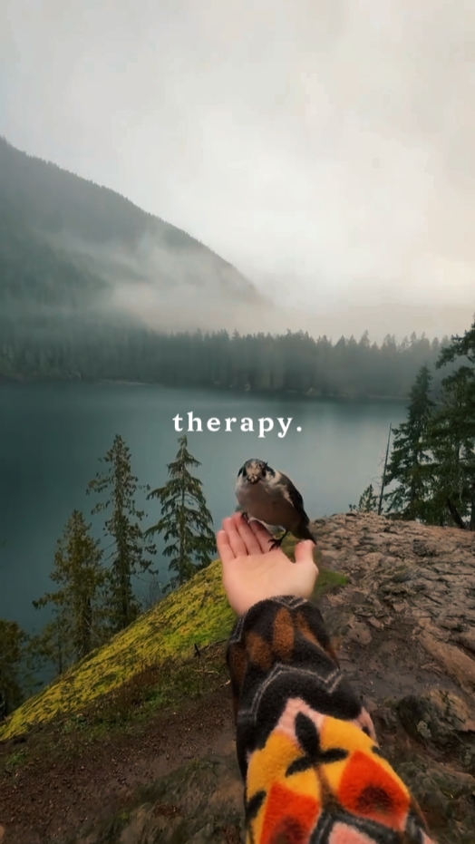Naturaleza de terapia con