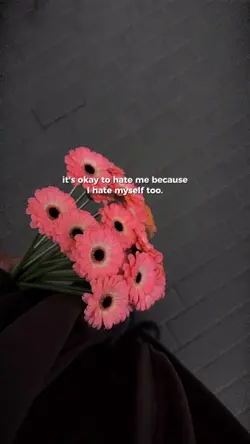 it's OK to hate me