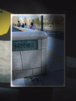 湯島聖堂　写真19枚