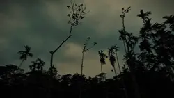 তোমায় বাসাতে চাই..! 