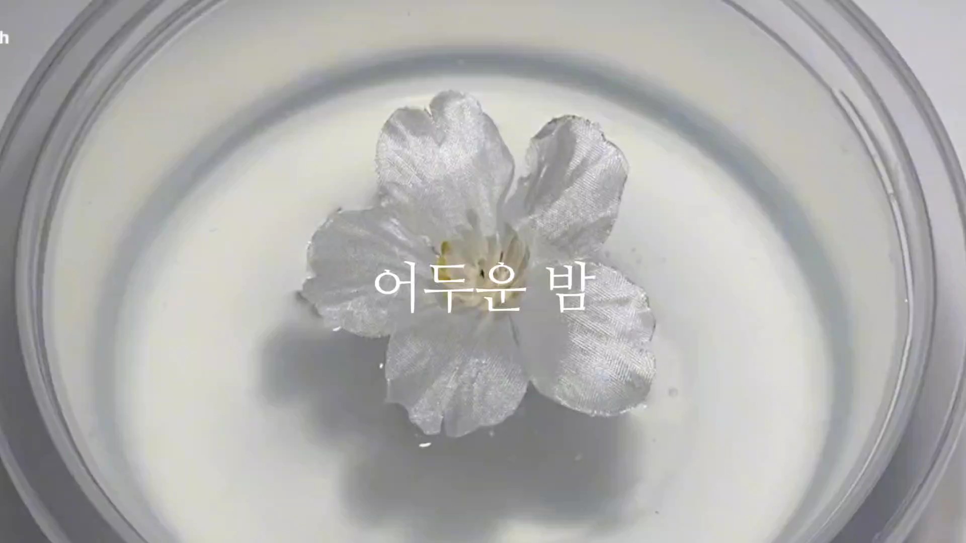 많이많이사용하세요!