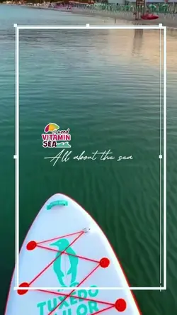 All about the sea