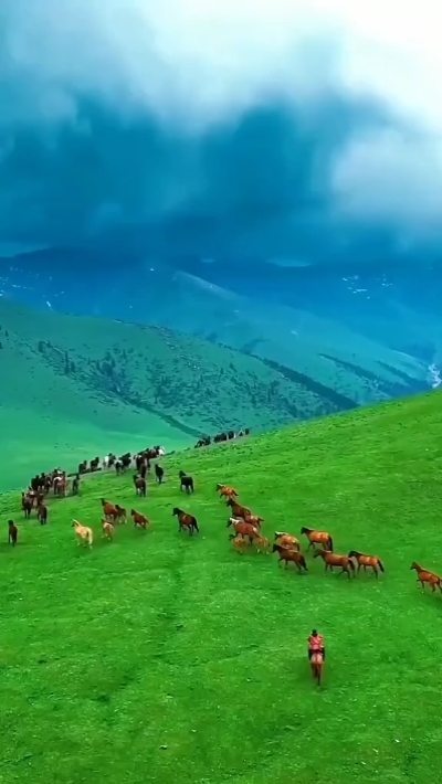 nature 5 clip