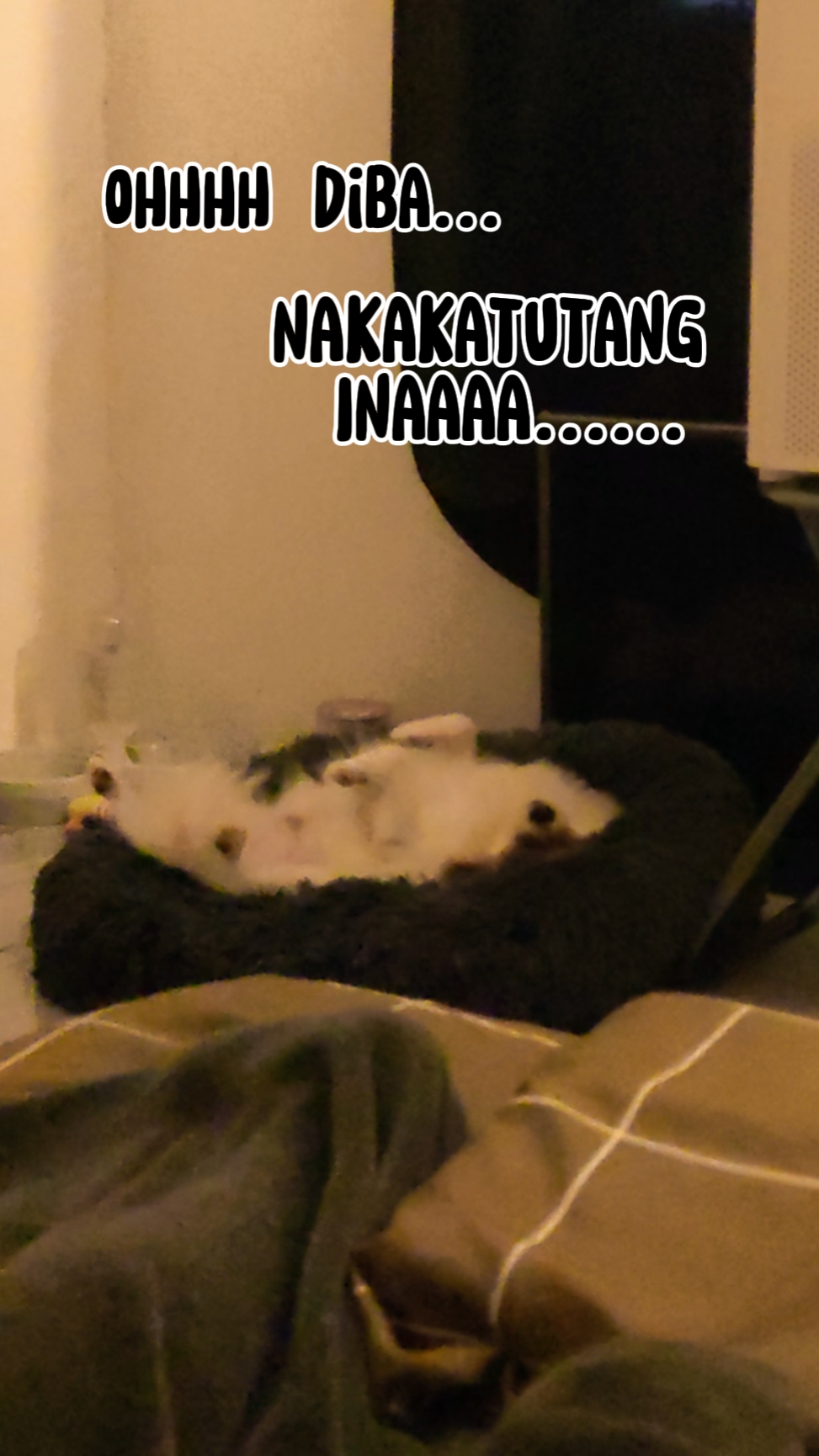 Ako'y natutulog 