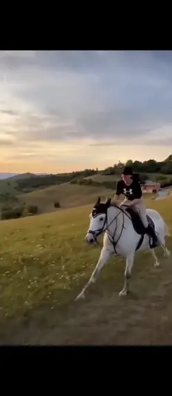 Cheval galop