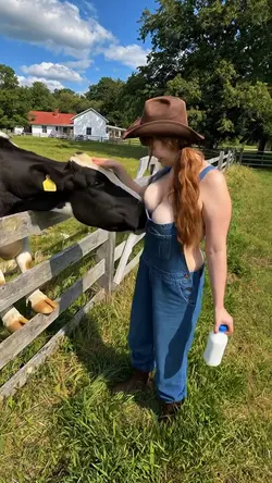 pengen jadi sapi