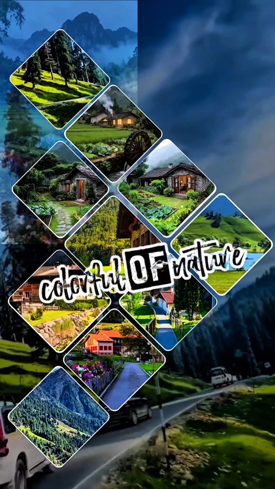 Cover Picture