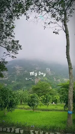 7 video travel vlog 