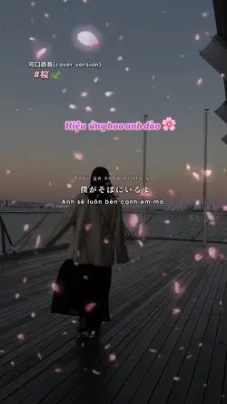 Sakura🌸　