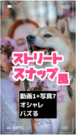 ストリートスナップ（個別）