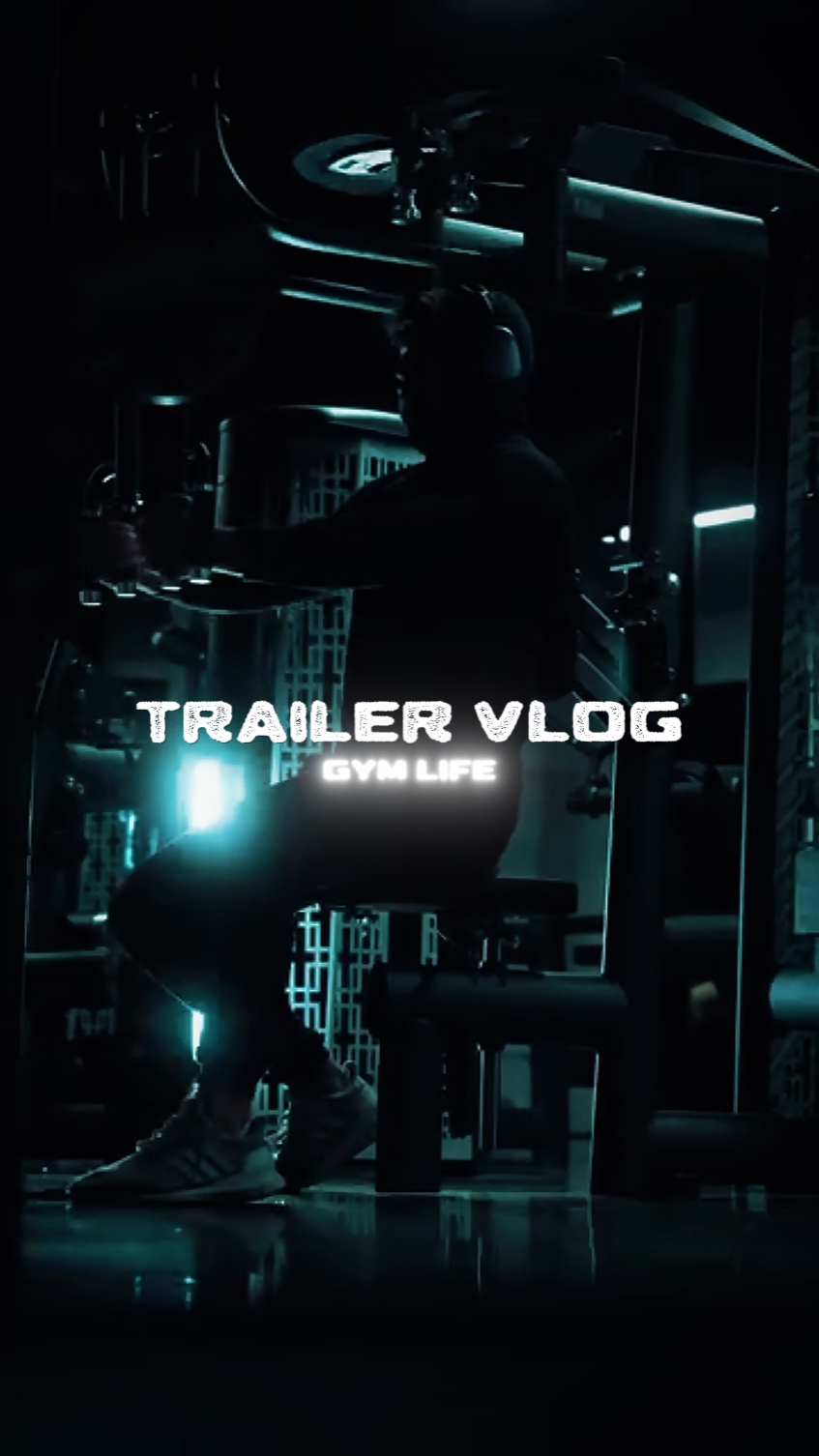 Trailer gym life