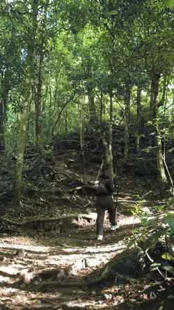 Slowmo Aesthetic