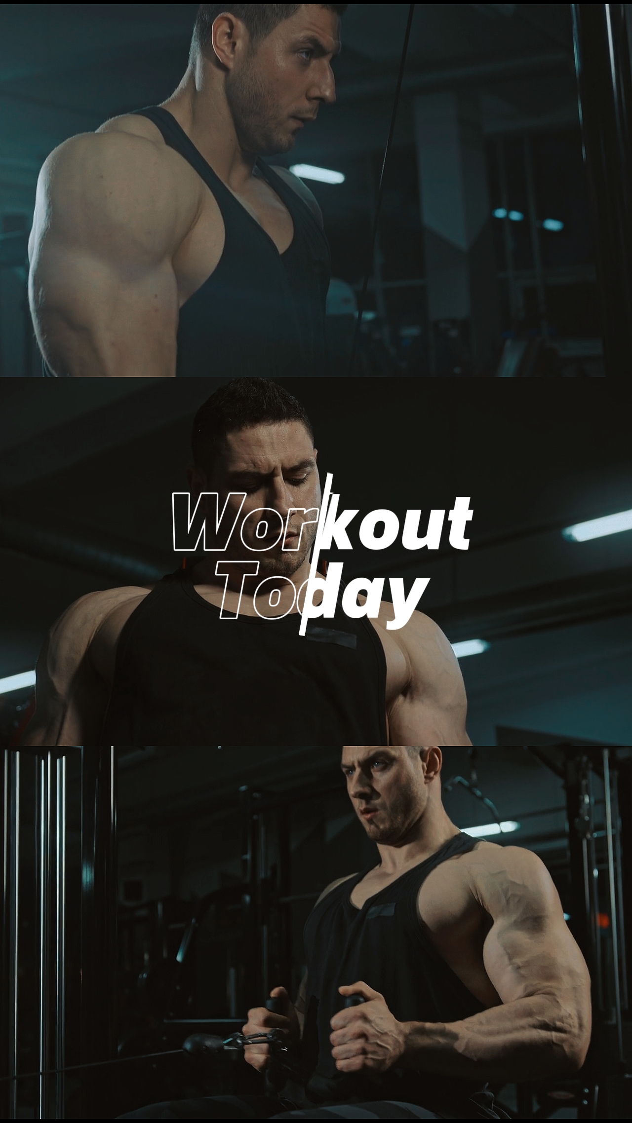 Treino Hoje