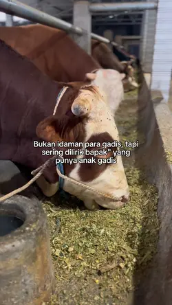 HANYA PETERNAK