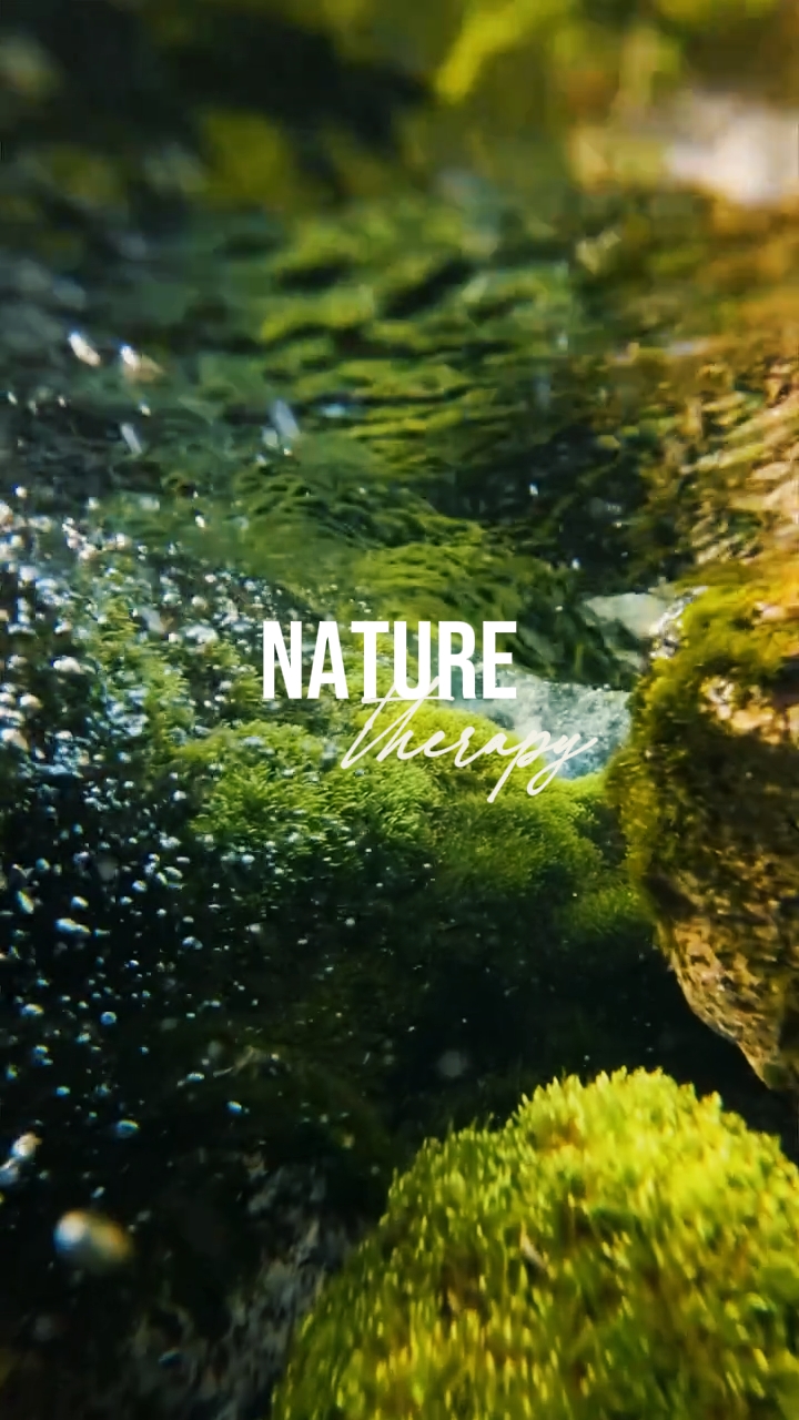 Terapia De Naturaleza