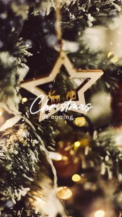 Christmas is coming 