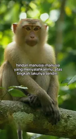 hindari manusia yang