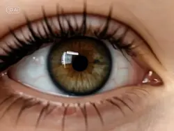 AI EYE ZOOM IRIS