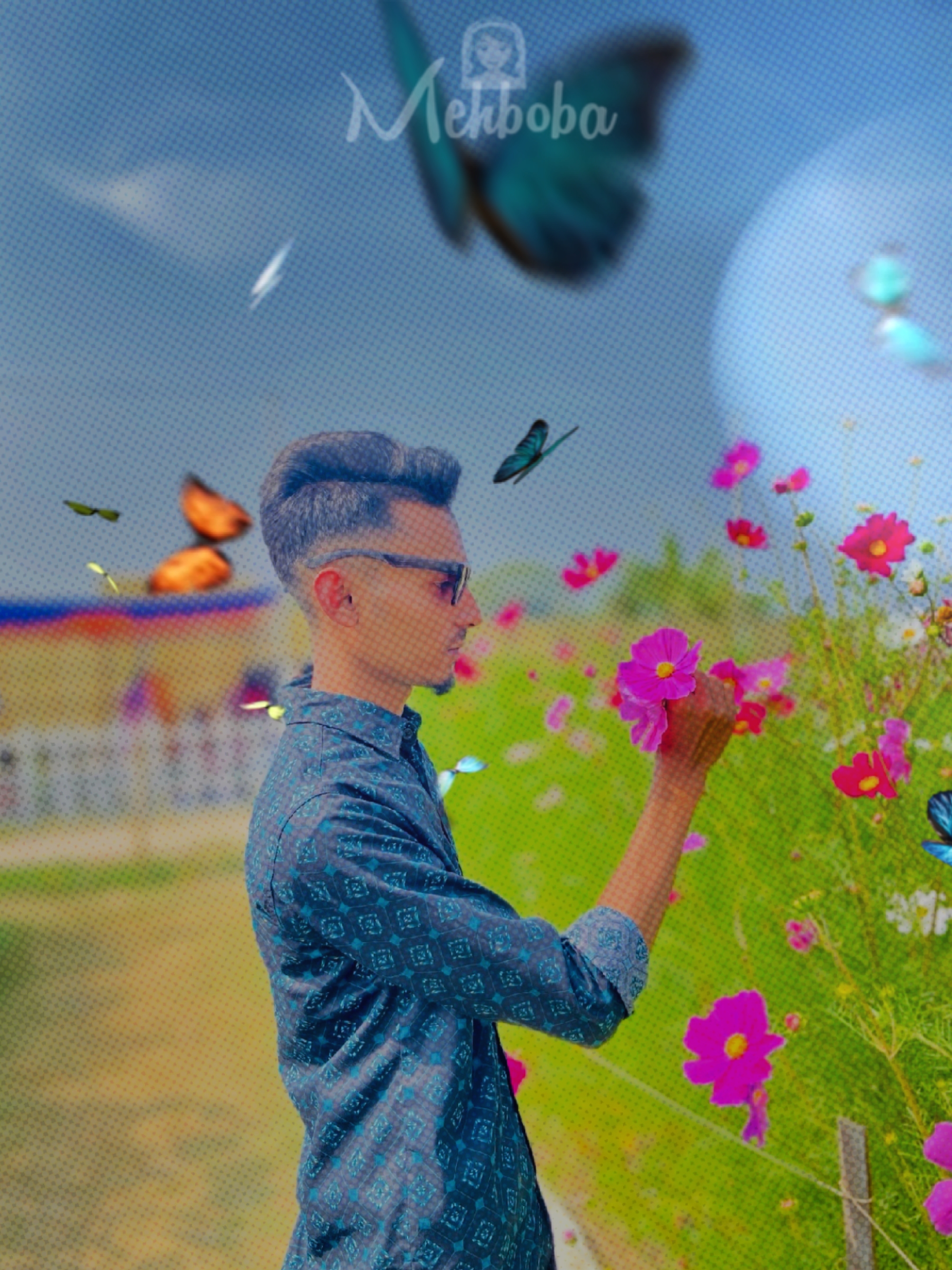 Cover Picture