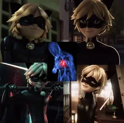 CAT NOIR