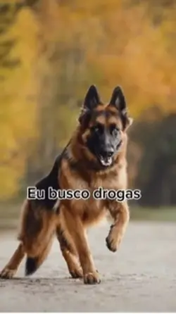 Eu tô bem! E vc? 