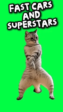 FAST CARS SUPERSTARS