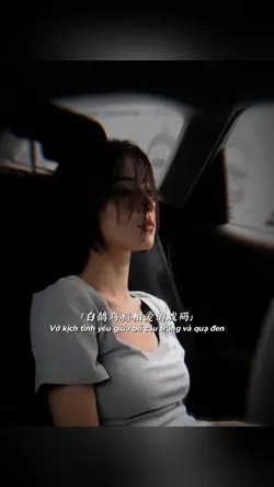 白鸽乌鸦相爱的戏码