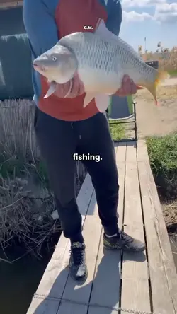 fishing