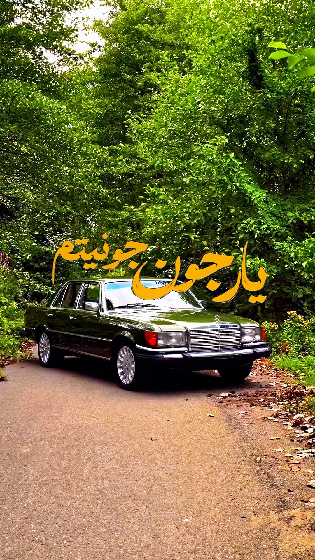 خودم قربونیتم / ایرانی