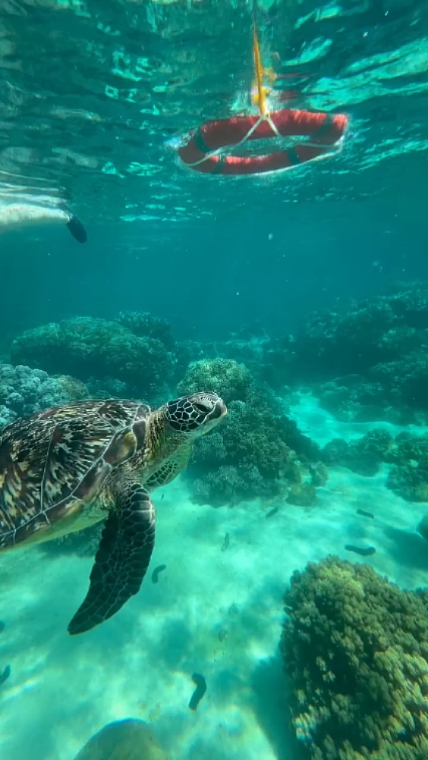 뒤를 돌아보고 있었다 