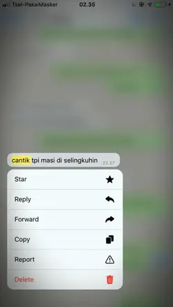 selingkuh