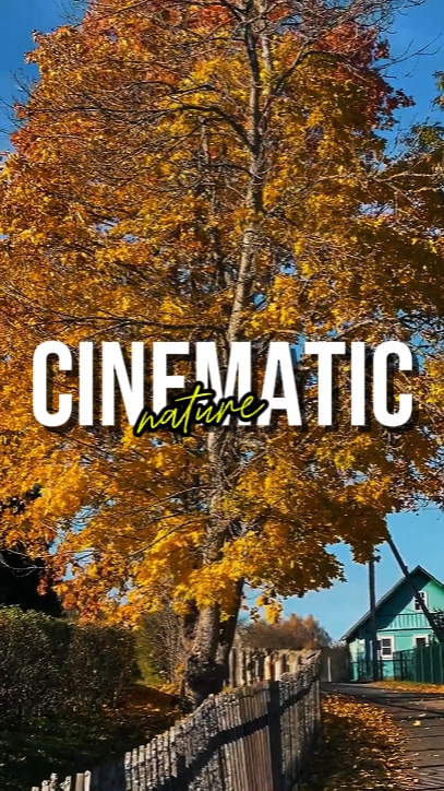 CINEMATIC NATURE
