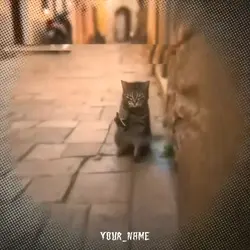 Anime free edit