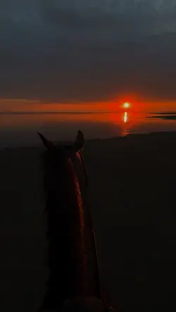 horse riding 🌅