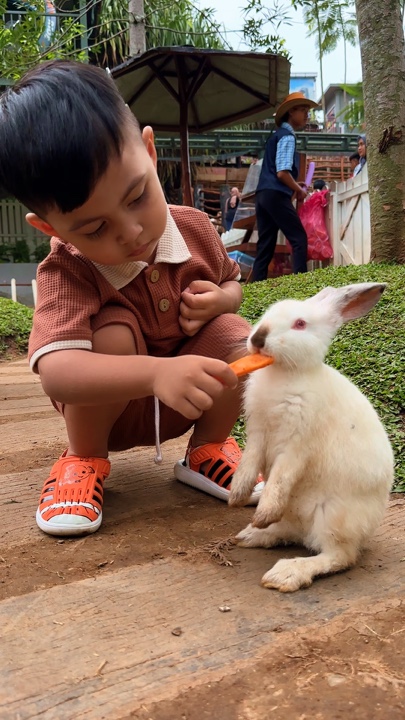 Kelinci Lucu 3 Klip