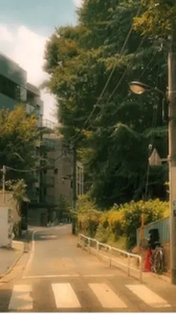 夏まとめ