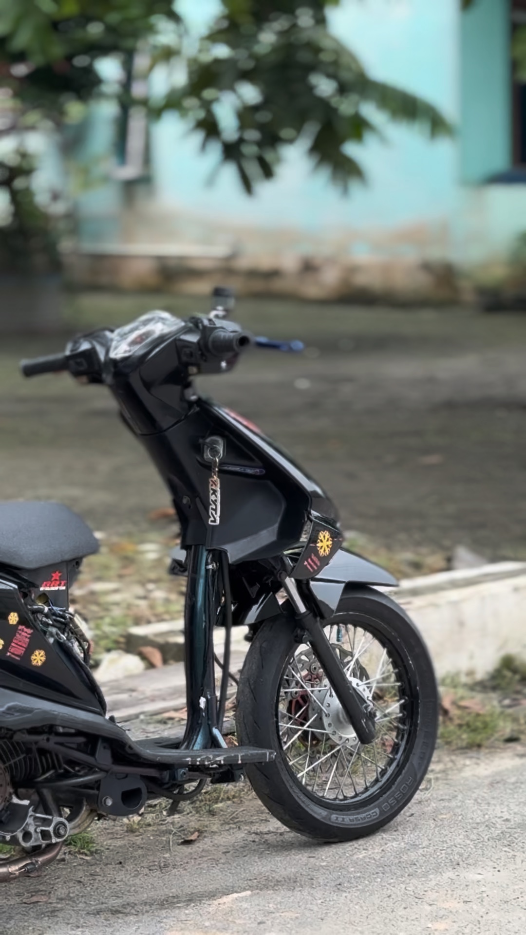 Cover Picture