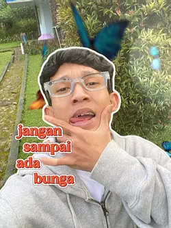 asek wiir