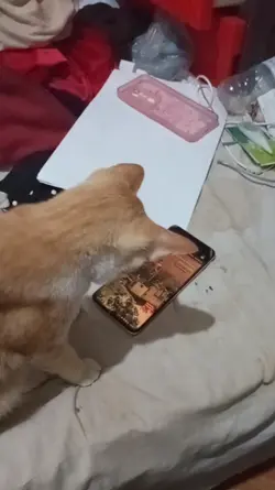 alarm goes off