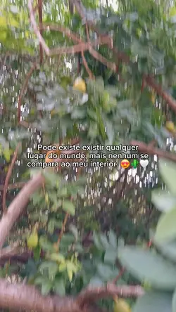 Meu Sertão 