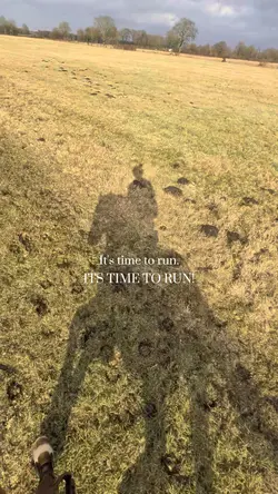 its time to run.