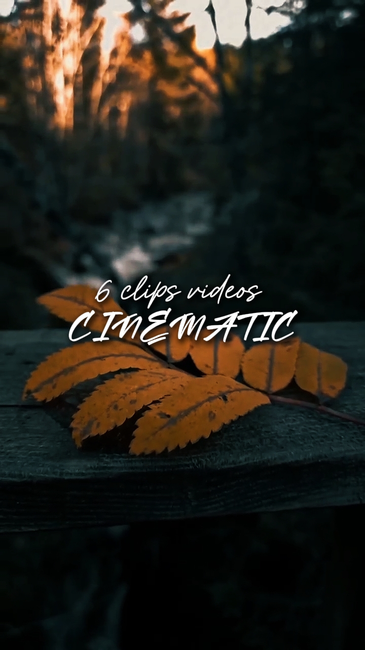6 videoclips 