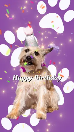 Pet's Birthday!