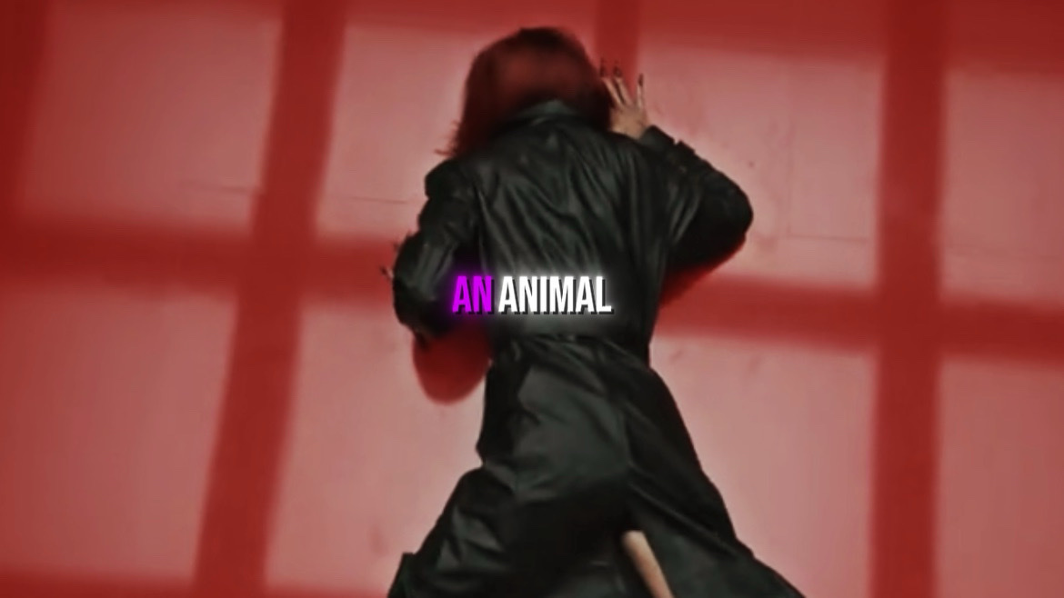 ANIMAL KATSEYE GROUP