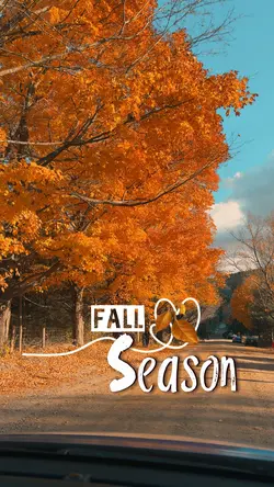 Fall season