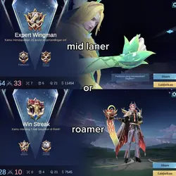 midlaner or roamer