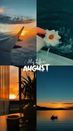 My life in August