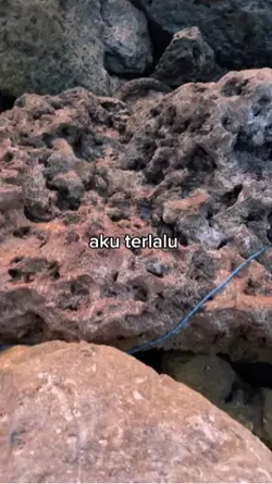 Musika aeshetic